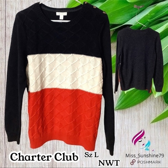 Charter Club NWT - Sz L - Deep Black color block core cotton sweater - Picture 1 of 5